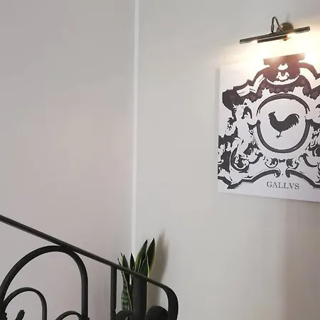 Gallus II Apartment